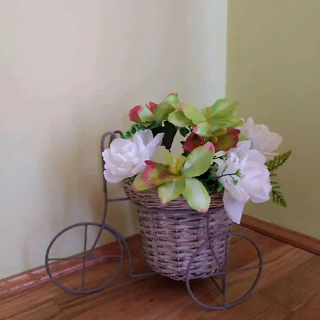 Apartament Petra