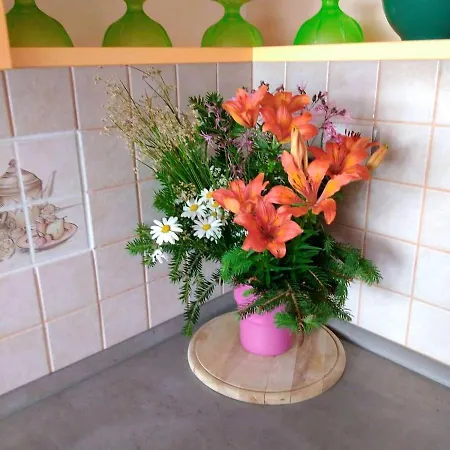 Apartman Petra *